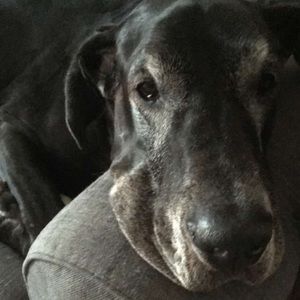 Meet your Posher, Julia